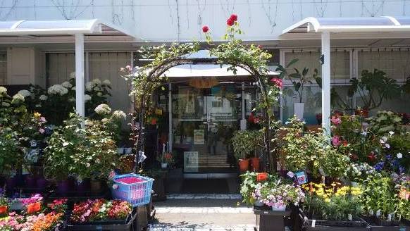 「花の店おおとも」　（宮城県角田市）の花屋店舗写真1