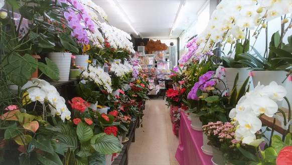 「花の店おおとも」　（宮城県角田市）の花屋店舗写真2